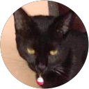 Fried Monthy profile picture