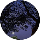 Isrofi 22 profile picture